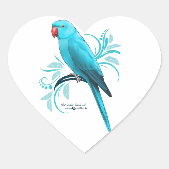 Sticker Cœur Parrot bleu indien Ringneck (Devant)