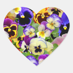STICKER CŒUR PATCHWORK PANSY
