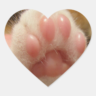 Sticker Cœur Pegatina de pata de gato