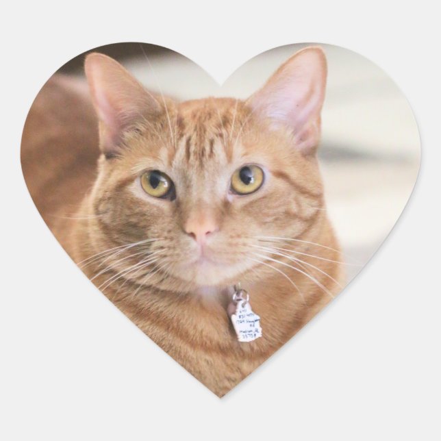 Sticker Cœur Penny (Devant)