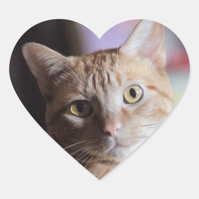 Sticker Cœur Penny (Devant)