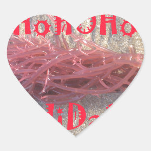 Sticker Cœur Père Noël HoHoHo Joyeux Noël des couleurs de la pl