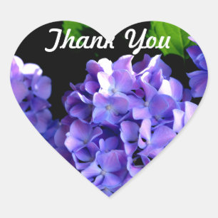 Sticker Cœur Periwinkle hydrangeas fleurs violettes merci