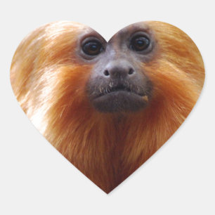 Sticker Cœur Personnaliser