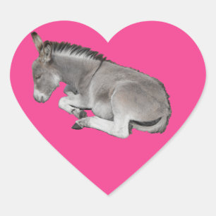 Sticker Cœur Petit Âne gris mignon Bébé poulain Dormir