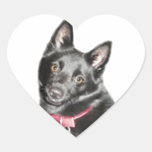 Sticker Cœur Photo Schipperke