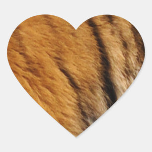 Sticker Cœur Photo Tiger Stripes Big Cat Wildlife