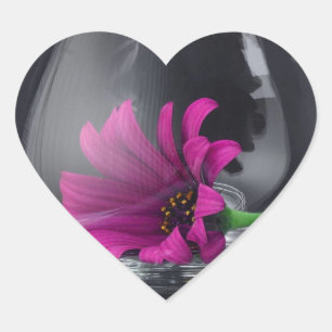 Sticker Cœur Plan rapproché rose de marguerite dans un verre d