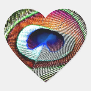 Sticker Cœur Plume colorée de paon en cuivre