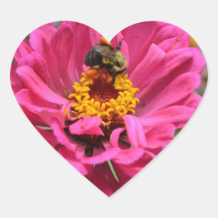 Sticker Cœur Plutôt rose floral rose Zinnia Bumble bee