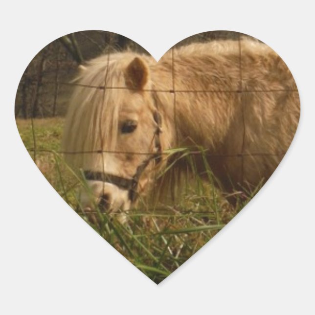 Sticker Cœur Poney miniature blond / Cheval (Devant)