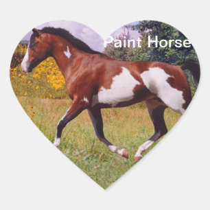 Sticker Coeur pour Cheval de Peinture