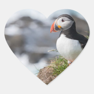 Sticker Cœur Puffin