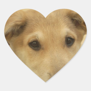 Sticker Cœur Puppy Love : Le meilleur ami de l'homme