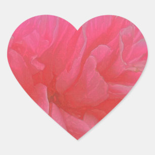 Sticker Cœur Rhapsodie florale en magenta et rouge