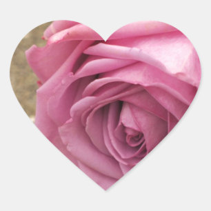Sticker Cœur Rose douce