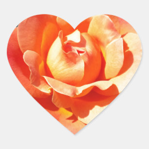 Sticker Cœur Rose orange clair