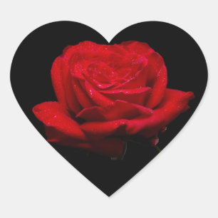 Sticker Cœur Rose rouge