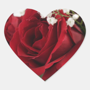 Sticker Cœur Rose rouge - Coeur en forme