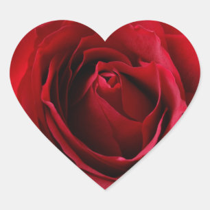 Sticker Cœur rose rouge profonde