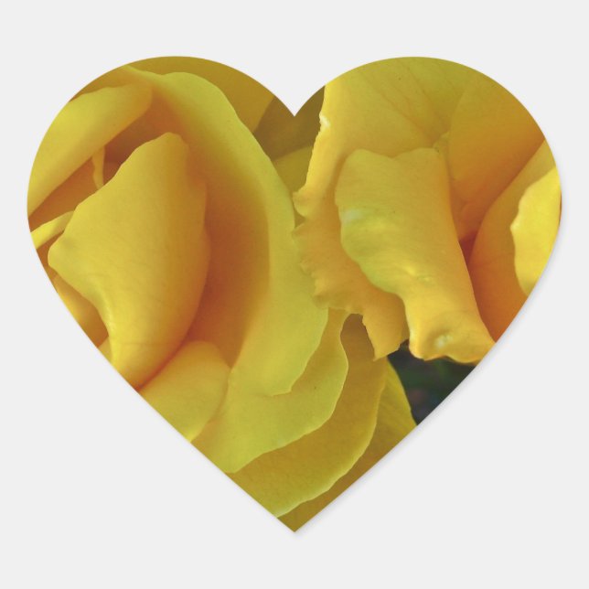 Sticker Cœur Roses Jaunes Flottant Dans L'Espace (Devant)