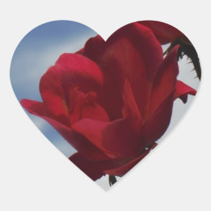 Sticker Cœur Roses rouges contre un ciel bleu vif