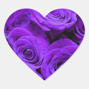 Sticker Cœur roses violet romantique, joli bouquet de rose