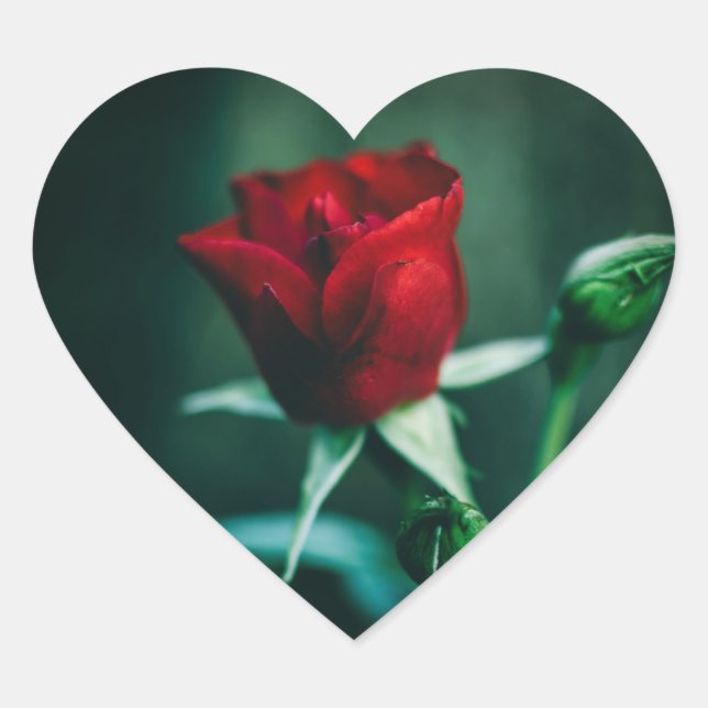 Sticker Cœur rouge simple (Devant)