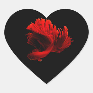 Sticker Cœur Ruby Red Siamese Lutter contre le poisson