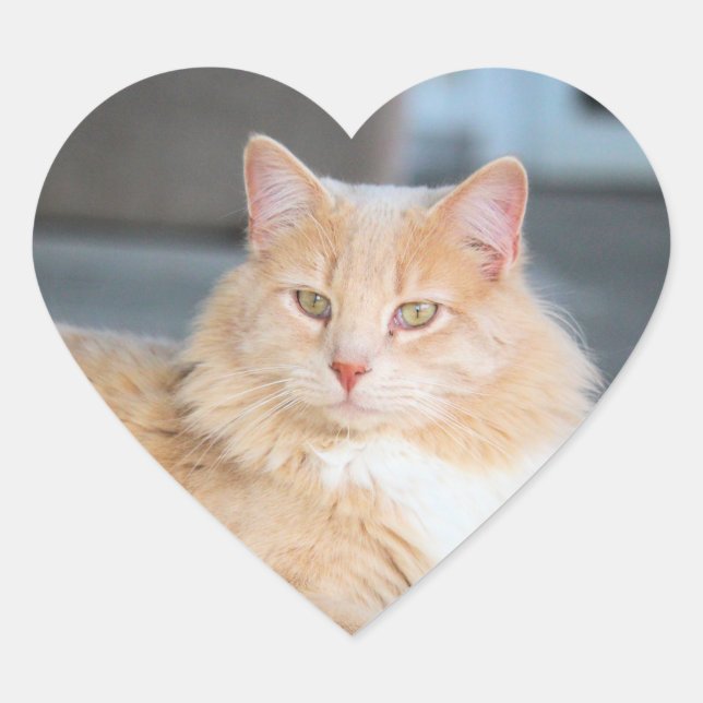 Sticker Cœur Ruffles (Devant)