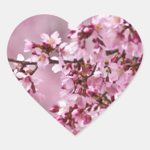 Sticker Cœur Sakura Cherry Blossoms Pastel Pink Layers