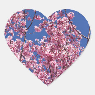 Sticker Cœur Sakura Cherry Fleurit Dans Le Bleu