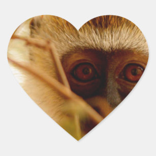 Sticker Cœur Singe effronté.