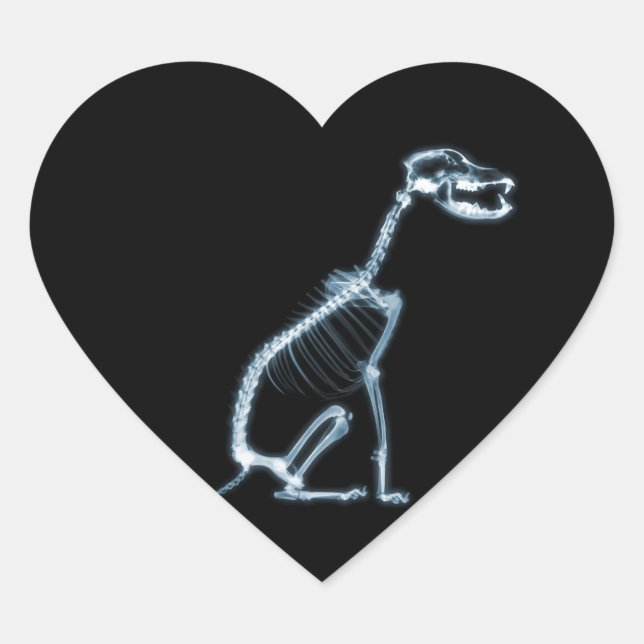 STICKER CŒUR SKELETON X-RAY CHIEN SITTING - BLEU & NOIR (Devant)