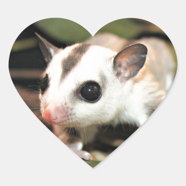 Sticker Cœur Sougar Glider (Devant)