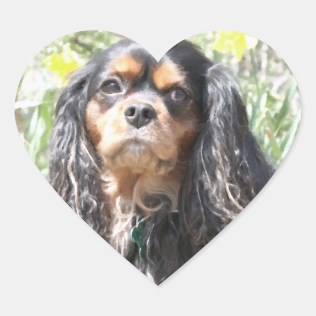 Sticker Cœur Spaniel Cavalier King Charles peint (Devant)