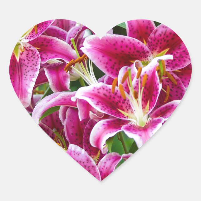 Sticker Cœur Stargazer Lilies (Devant)