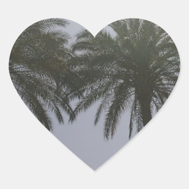 Sticker Cœur Sun Trees Egypt. (Devant)