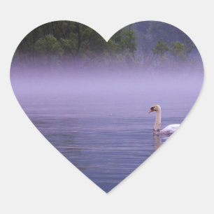 Sticker Cœur Swan sur le lac