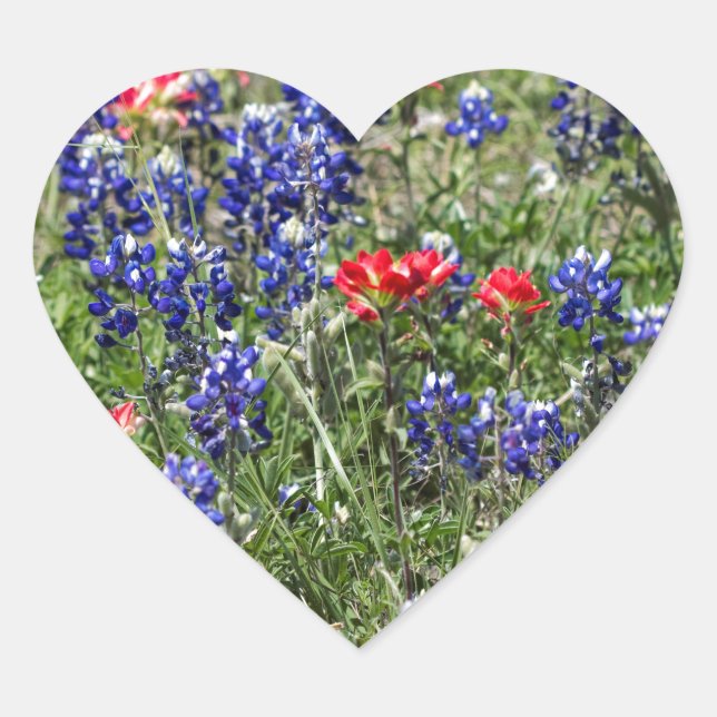 Sticker Cœur Texas Bluebonnets & Fleurs sauvages indiens (Devant)