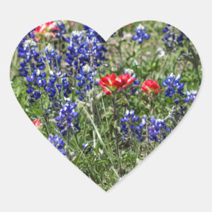 Sticker Cœur Texas Bluebonnets & Fleurs sauvages indiens