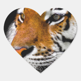 Sticker Cœur Tigre