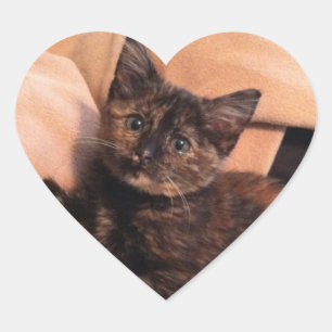 Sticker Cœur Tortoiseshell, Tortie, Tortie Kitten, Kitten, Kitt