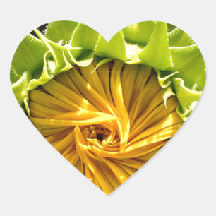 Sticker Cœur Tourbillon de tournesol