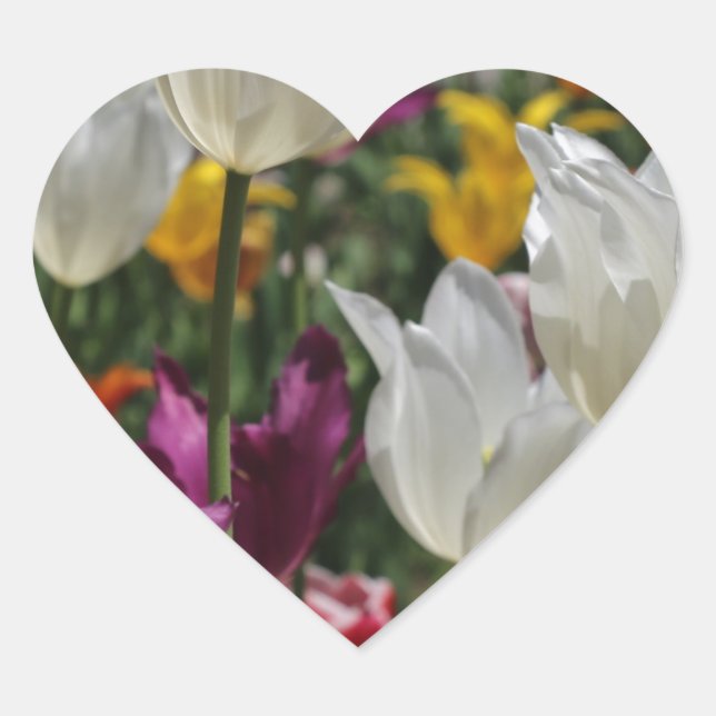 Sticker Cœur Tulipes (Devant)