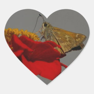 Sticker Cœur Tumeaux et Zinnia rouge