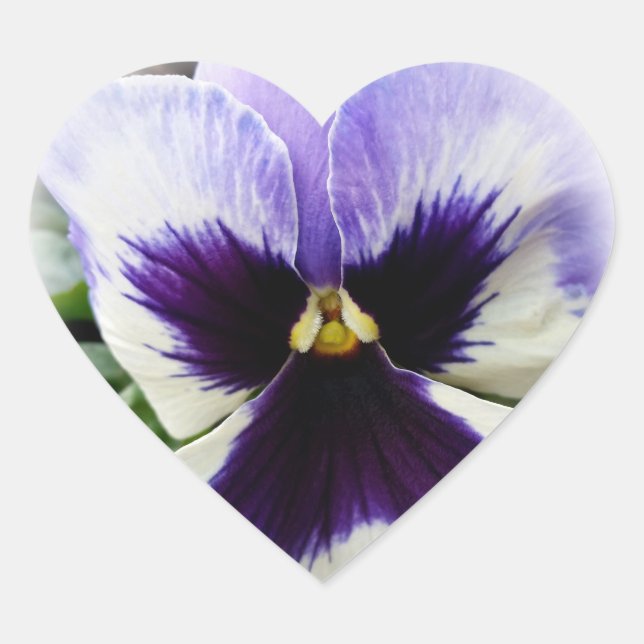 Sticker Cœur violet profond sur blanc (Devant)