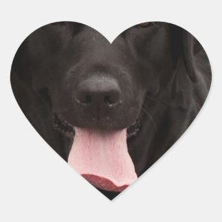 Sticker Cœur Visage de chien noir