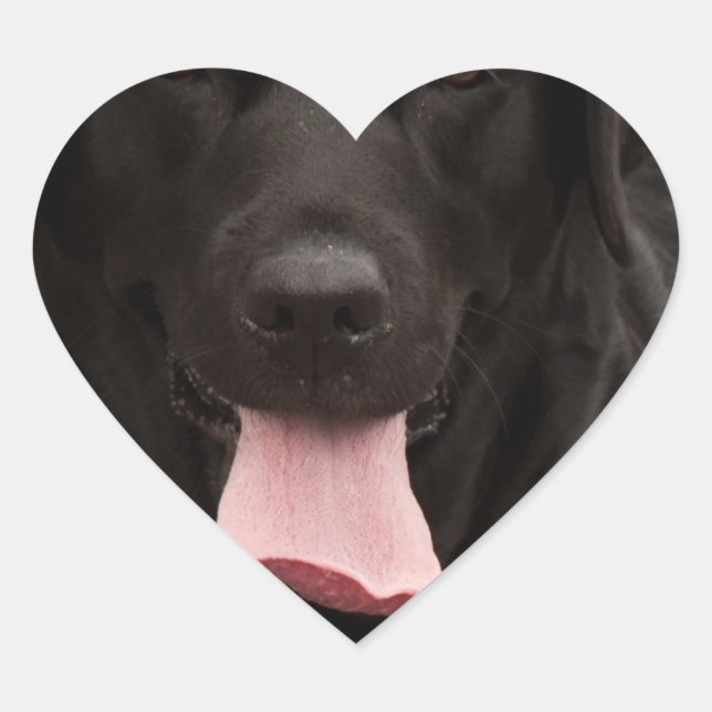 Sticker Cœur Visage de chien noir (Devant)