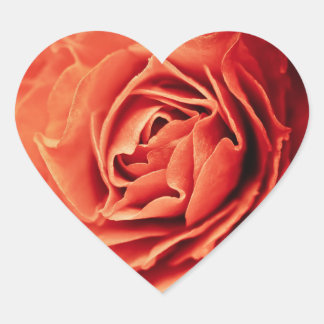 Sticker Cœur vivant rose